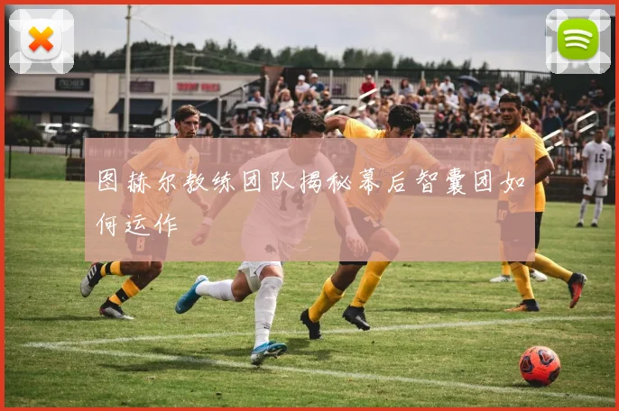 图赫尔教练团队揭秘幕后智囊团如何运作