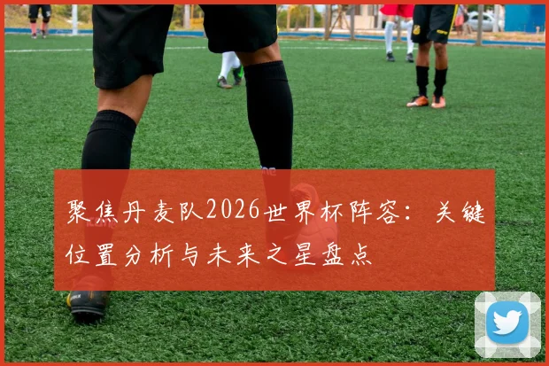 聚焦丹麦队2026世界杯阵容：关键位置分析与未来之星盘点