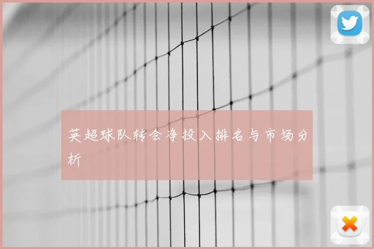 英超球队转会净投入排名与市场分析