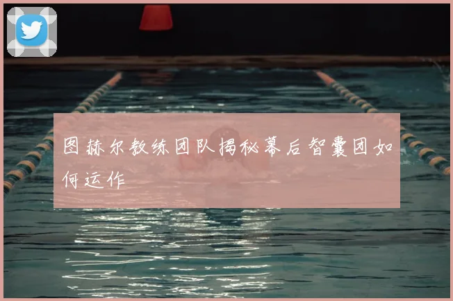 图赫尔教练团队揭秘幕后智囊团如何运作